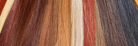 Wig Color Options
